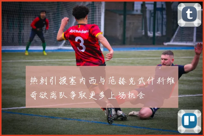 热刺引援塞内西与范赫克武什科维奇欲离队争取更多上场机会