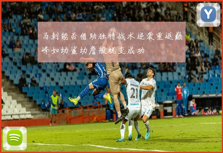 马刺能否借助独特战术逆袭重返巅峰如幼鲨幼詹般蜕变成功